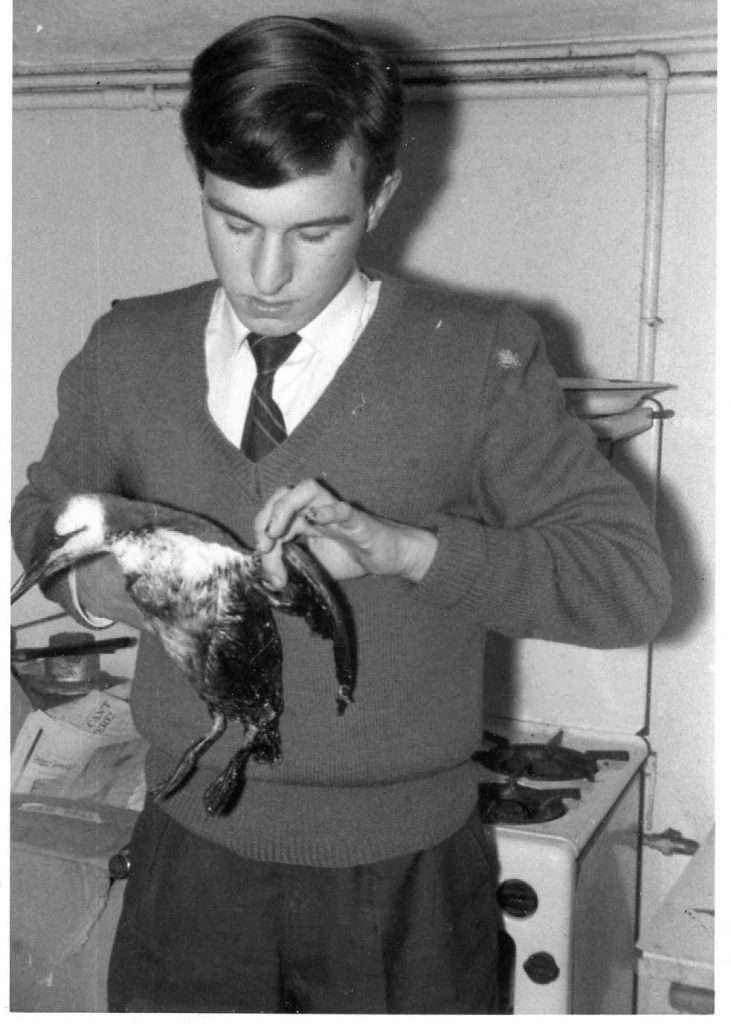 Robert with an oiled guillemot.