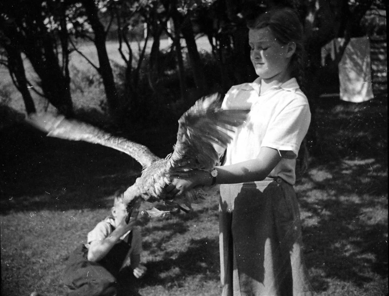 Libby in the garden holding Durdle, then moulting. Charles reclines behind. 1960