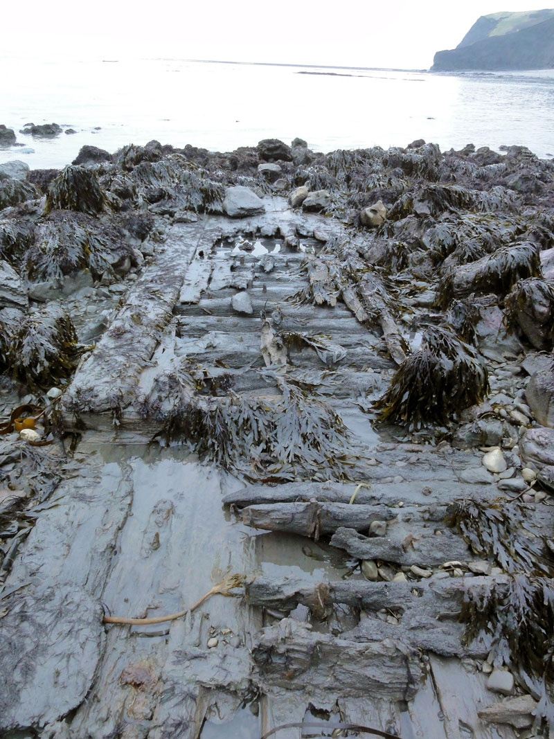 Near Encombe are eleven metres of timber joined by wooden dowels, visible at very low tide, remnants of some large, unnamed sailing vessel.
