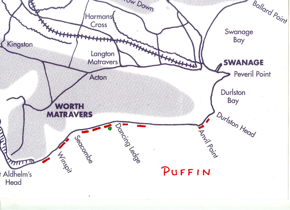 DISAPPEARING PUFFINS IN PURBECK. The red lines mark stretches of cliff where puffins bred in 1957. The green dot marks the single breeding site today.